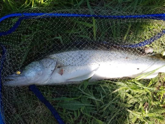 Mittellandkanal (Wendeburg)-1