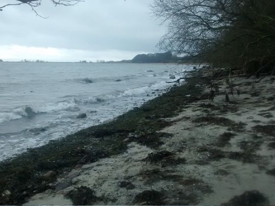 Ostsee (Altenhof)-1