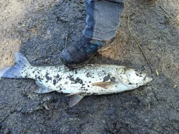 Stausee Rettenbach-2