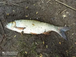 Stausee Rettenbach-1