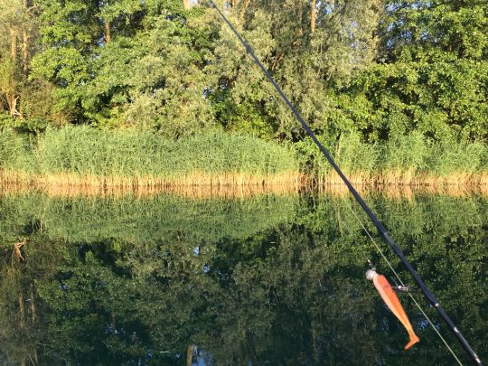 Bergen See (Wesel)-1