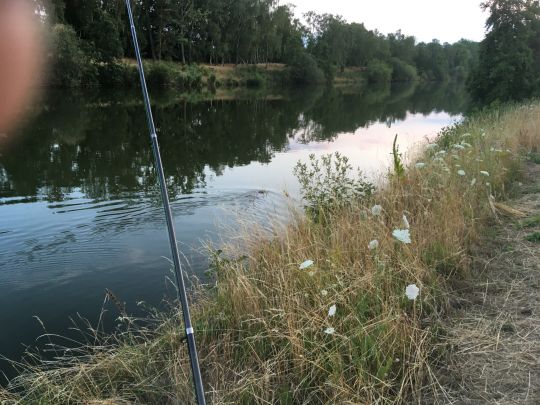 Mittellandkanal (Rätzlingen-Mannhausen)-2