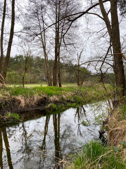 Finow (Biesenthal)-1