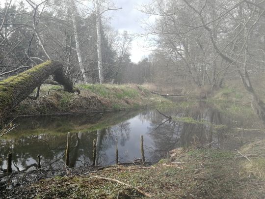 Finow (Biesenthal)-3