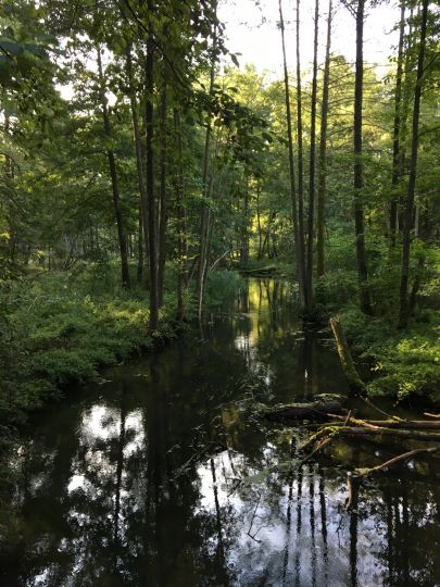 Finow (Biesenthal)-4