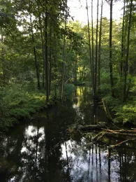 Finow (Biesenthal)-4