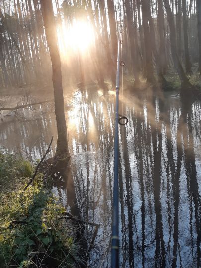 Finow (Biesenthal)-2