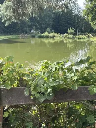 Forellenhof Münsterland-1