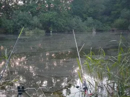 Alte Kieskuhle (Sereetz)-2