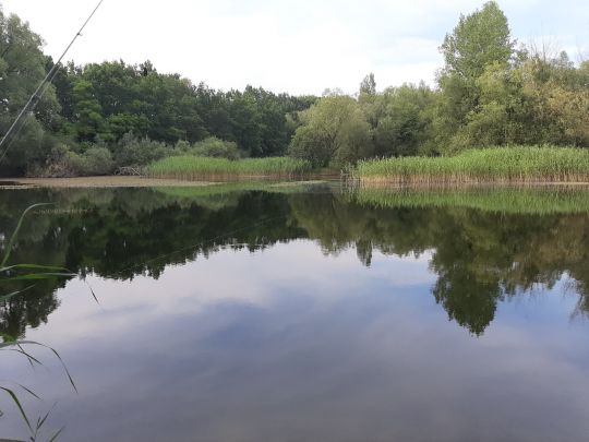 Alte Kieskuhle (Sereetz)