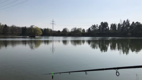Vereinsee ASV Bischofsheim