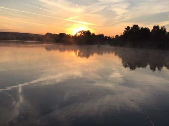 Brucknerweiher (Schwarzenfeld)-1