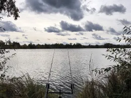 Brucknerweiher (Schwarzenfeld)