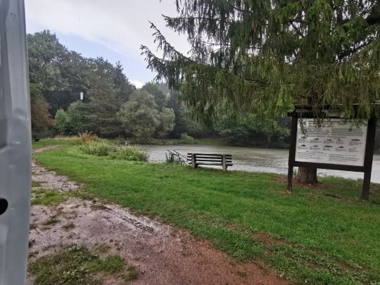 Nonnbergteich (Fischbach)-3