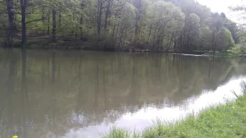 Nonnbergteich (Fischbach)