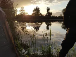 Martin-See (Königsmoos)-1