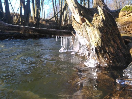 Hörsel (Hörselgau)-2