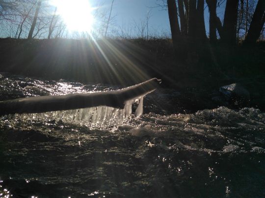 Hörsel (Hörselgau)-1