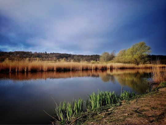 Het Meertje (Nijmegen)-2