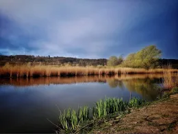 Het Meertje (Nijmegen)-2