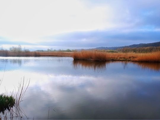 Het Meertje (Nijmegen)-4