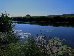 Het Meertje (Nijmegen)-1