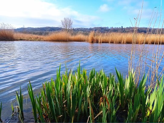 Het Meertje (Nijmegen)-3