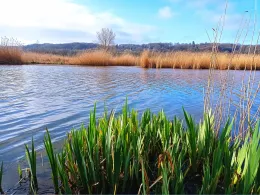 Het Meertje (Nijmegen)-3