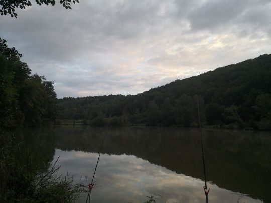 Angelsee Münster