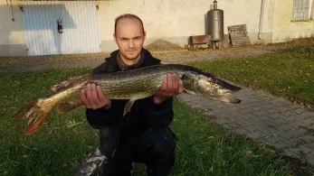 Stadtsee (Strasburg)-1