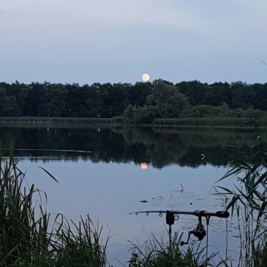 Stadtsee (Strasburg)-2