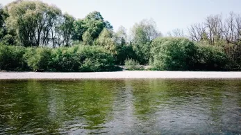 Isar (München)-2