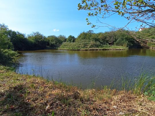 Obere Steinbreite (Brachwitz)