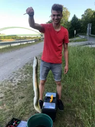 Dortmund-Ems-Kanal (Greven)-1