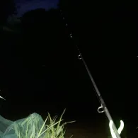 Weiße Elster (Pegau)-1