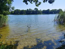 Dolgener See (Dolgen am See)-2
