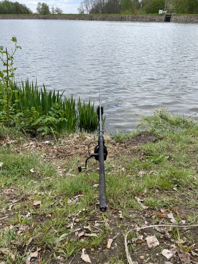 Konstantinteich (Brand-Erbisdorf)-3