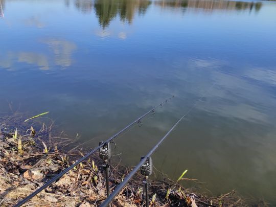 Konstantinteich (Brand-Erbisdorf)-1