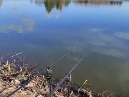 Konstantinteich (Brand-Erbisdorf)-1