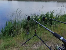 Konstantinteich (Brand-Erbisdorf)-4