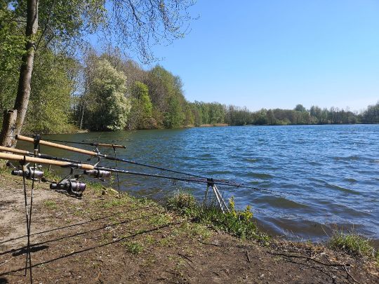 Ambührener See (Cloppenburg) angeln