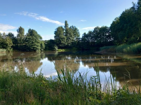 Ochsengrundbergsee-4