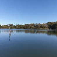 Moorhütte (Braunschweig)-1