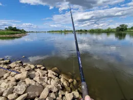 Alte Elbe (Kreuzhorst)-2