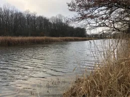 Alte Elbe (Kreuzhorst)-1