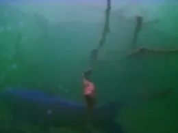 Neue Kiesgrube (Elchingen)-3