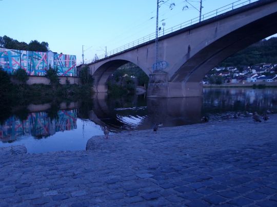 Mosel (Oberbillig-Wasserbillig)-1