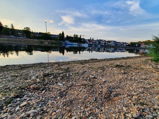 Mosel (Oberbillig-Wasserbillig)-4