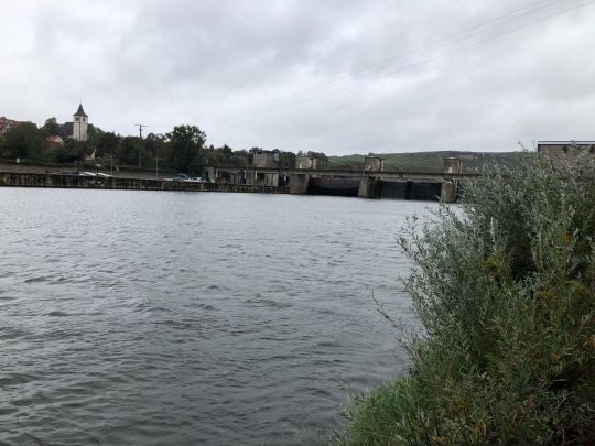 Neckar (Mundelsheim-Hessigheim)-4