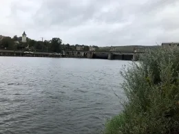 Neckar (Mundelsheim-Hessigheim)-4